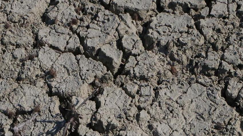Adana'nın sessiz tehlikesi: Uzmanlardan şok edici uyarı: 2040 yılına dikkat!