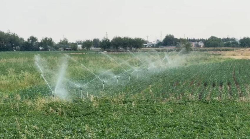 Şanlıurfa'da uzmanlar uyardı: 4 yılda bir oluyor