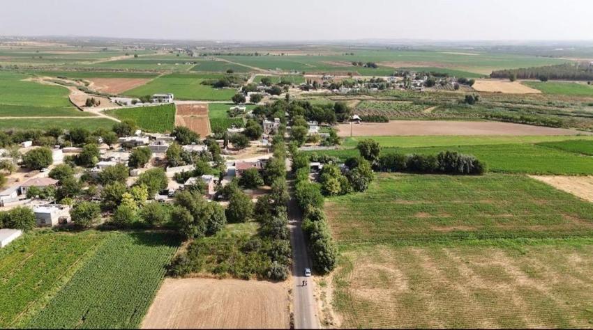 Şanlıurfa'da uzmanlar uyardı: 4 yılda bir oluyor