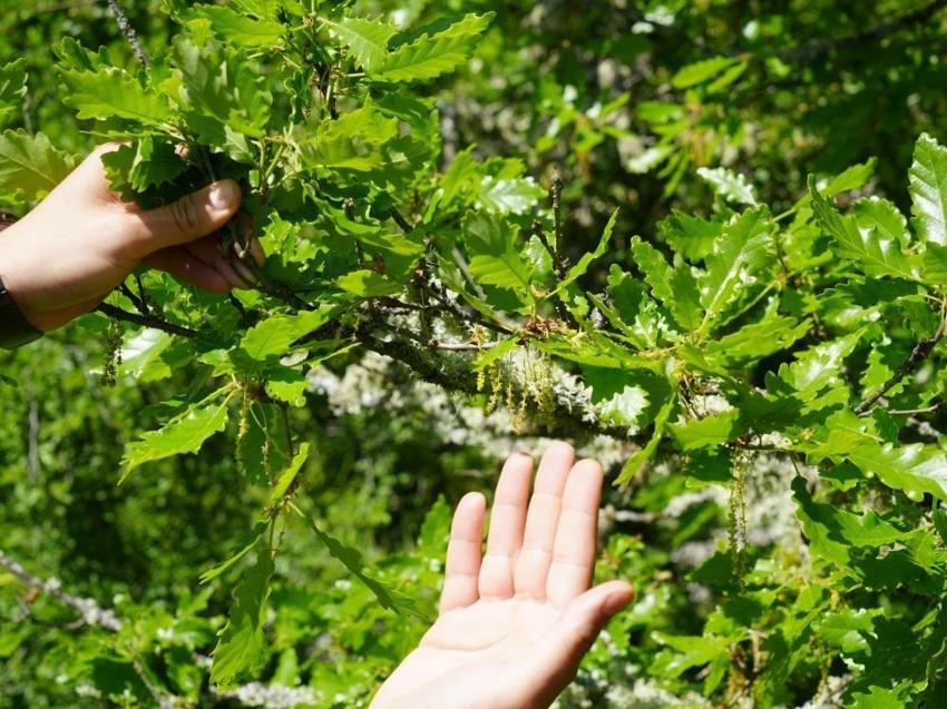 Üniversite ücretiz yayınlıyor: Hastalar anlık takip ediyor