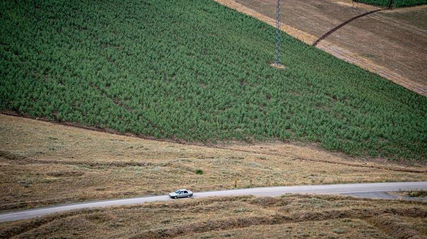 Erzurum'da patates üreticilerinin yüzü gülecek: Pasinler Ovası'na lisanslı depo müjdesi!