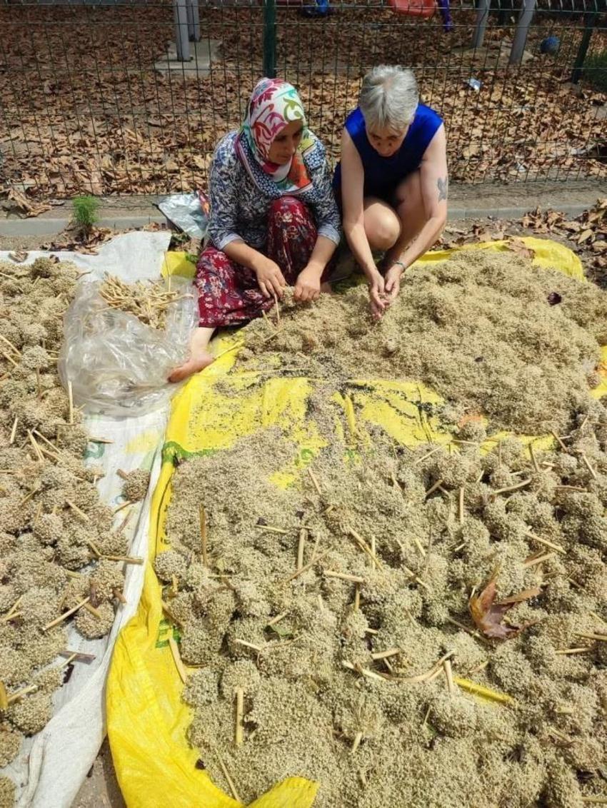 Balıkesir'in güzelliği bir kez daha keşfedildi! Erdek'te doğa ve tarih buluştu Balıkesir'in güzelliği bir kez daha keşfedildi! Erdek'te doğa ve tarih buluştu