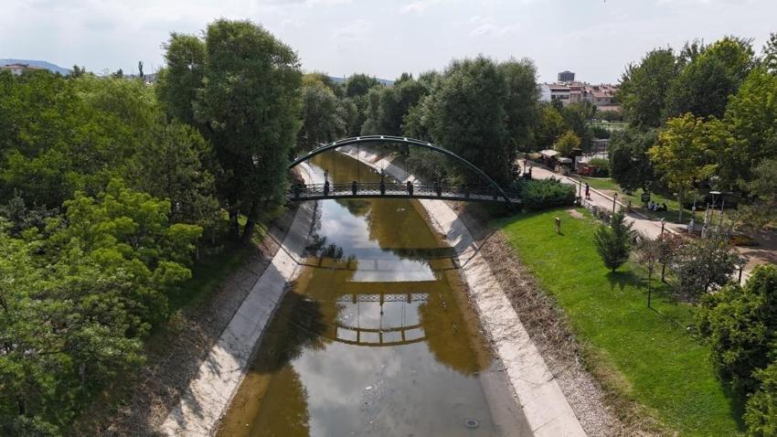 Eskişehir'de ilk kez görüldü! Görenler hayrete düşüyor