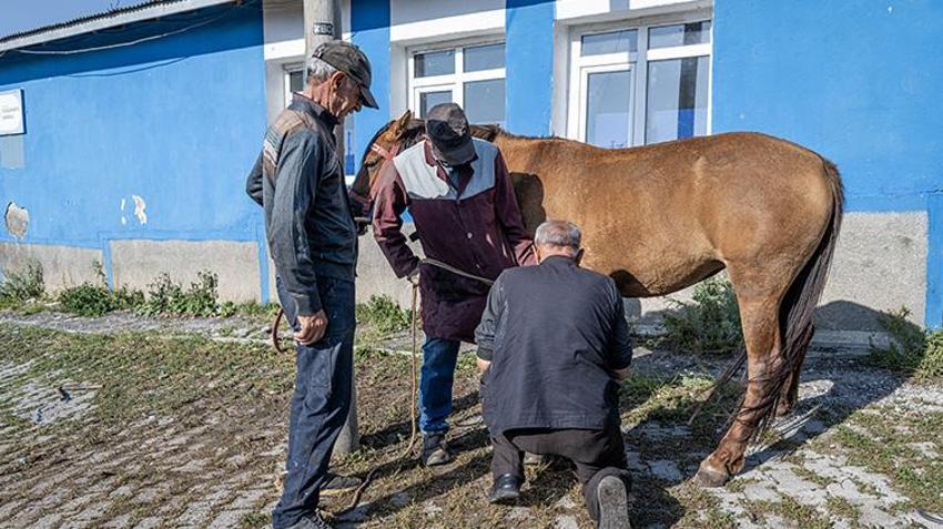 Kars'ın köylerini tek tek gezip çiftçiyi hasada hazırlıyor! 'Bazen tekme yiyoruz'