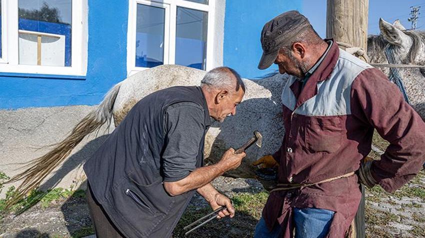 Kars'ın köylerini tek tek gezip çiftçiyi hasada hazırlıyor! 'Bazen tekme yiyoruz'