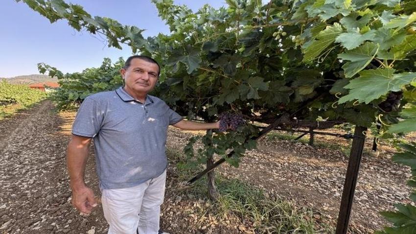 Konya yolunda hasat başladı: Rekolte yüzde 25 arttı