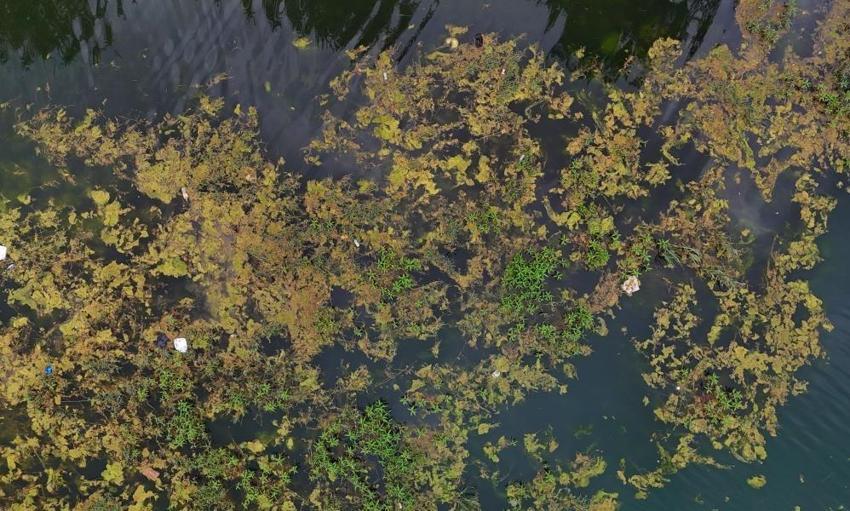 Adana'nın simgesi tanınmaz halde! 'Güzelim şehir böyle olmamalı'