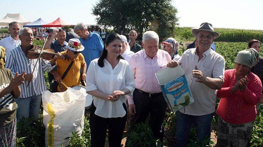Edirne'de oyun havaları eşliğinde hasat yapılıyor! 'Sinek, malın büyümesini engelledi'