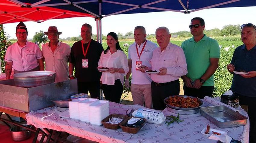 Edirne'de oyun havaları eşliğinde hasat yapılıyor! 'Sinek, malın büyümesini engelledi'