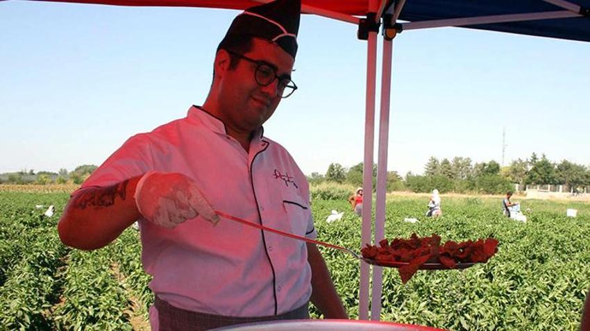 Edirne'de oyun havaları eşliğinde hasat yapılıyor! 'Sinek, malın büyümesini engelledi'