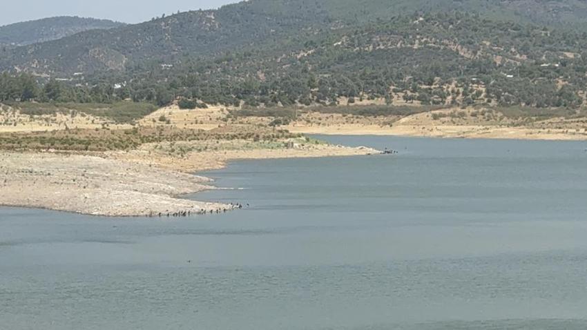 Bodrum'da su kalmadı: Barajlar kritik seviyeye geriledi