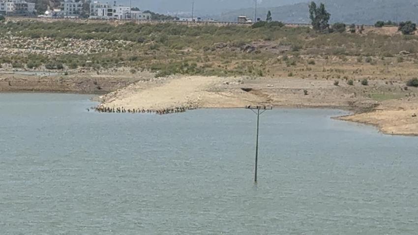 Bodrum'da su kalmadı: Barajlar kritik seviyeye geriledi