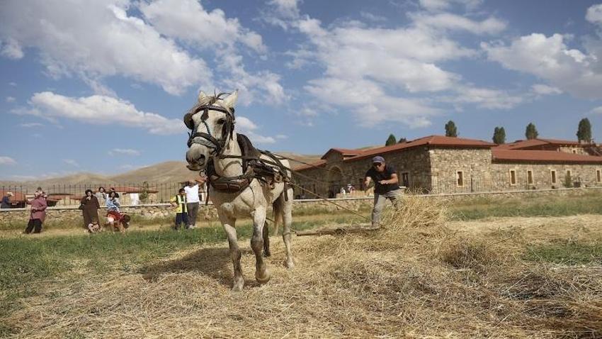 Bayburt'ta "6. Harman Festivali" başladı! Köydeki müzede gerçekleştiriliyor