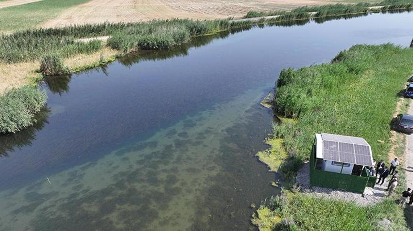 Ağrı Dağı'nın eteklerinde gizli cennet: Iğdır'daki sulak alanlar turizme açılıyor!
