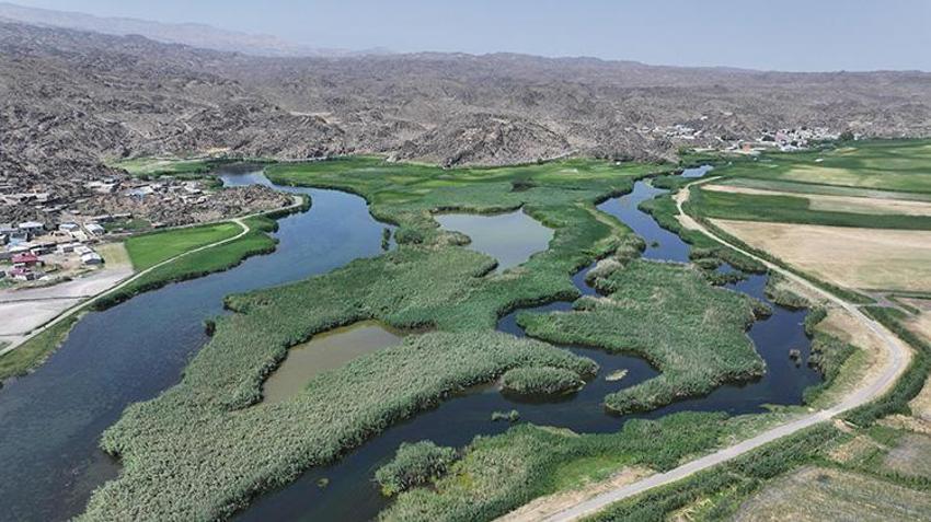Ağrı Dağı'nın eteklerinde gizli cennet: Iğdır'daki sulak alanlar turizme açılıyor!