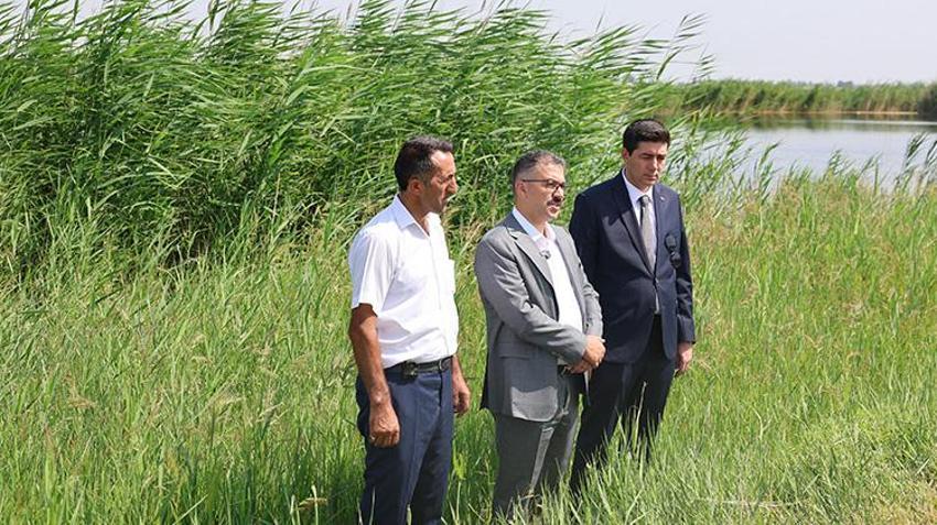 Ağrı Dağı'nın eteklerinde gizli cennet: Iğdır'daki sulak alanlar turizme açılıyor!