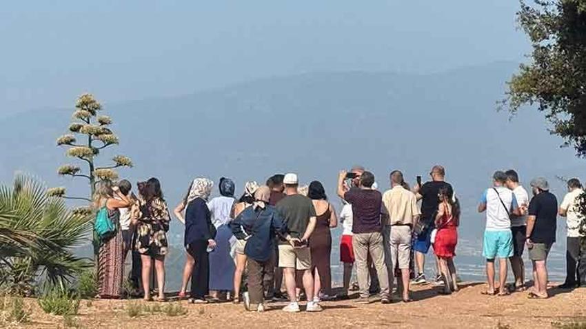 Antalya'da 30 yıl sonra gelen mucize: Sabır otu açtı, turistler akın etti!