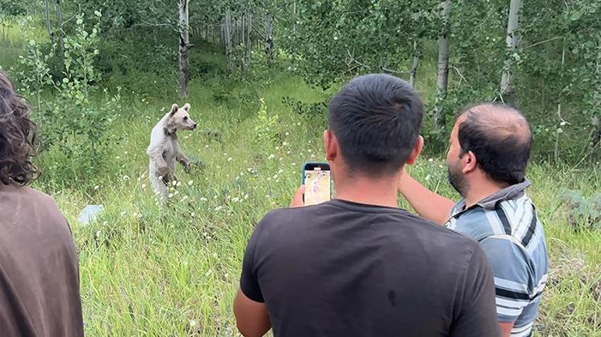 Fotoğraf çekmek için oraya akın ediyorlar! Öyle büyük bir tehlikeye neden oluyorlar ki... Hiçbiri haberdar değil