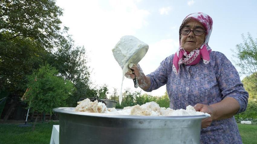 Kim Milyoner Olmak İster yarışmasında 1 milyonluk soruyu gördü Türkiye onu tanıdı! Takipçi sayısı iki katına çıkınca fenomen oldu