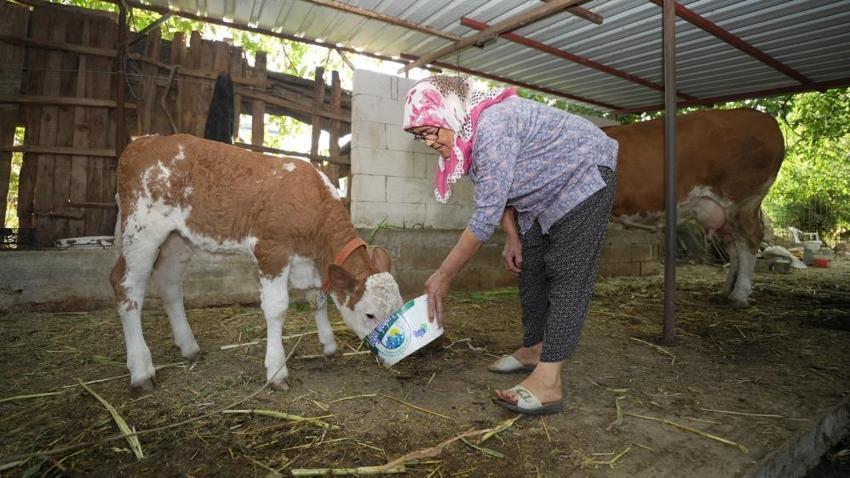 Kim Milyoner Olmak İster yarışmasında 1 milyonluk soruyu gördü Türkiye onu tanıdı! Takipçi sayısı iki katına çıkınca fenomen oldu