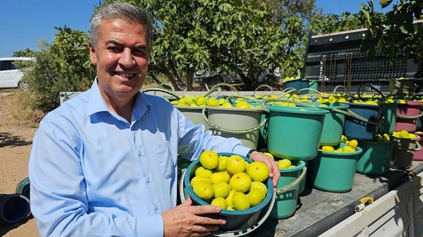Buharkent'te festival zamanı! Cuma günü başlıyor, tamamen ücretsiz