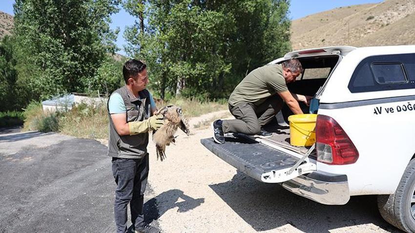 Bayburt'ta muhtar yaralı halde gördü, bir hafta boyunca evinde baktı!