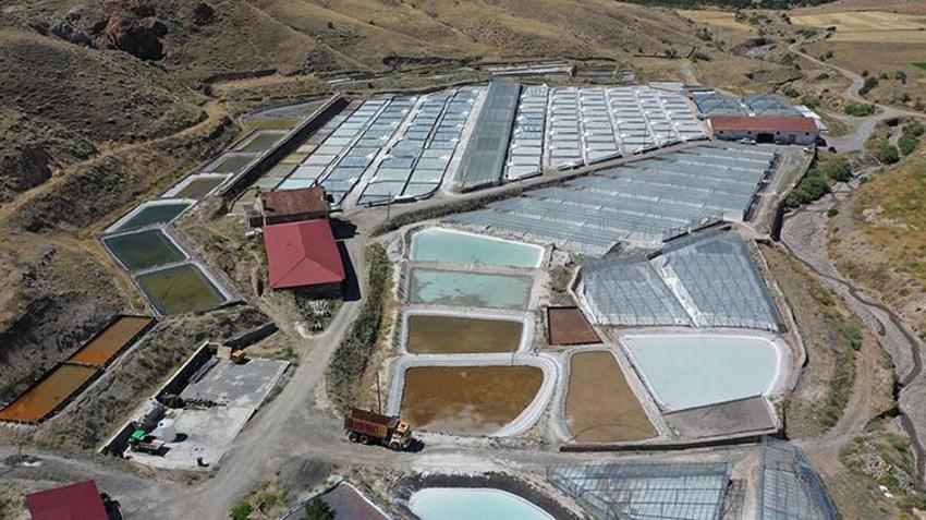 Osmanlı’dan gelen 450 yıllık mucize: Dünyada sadece Kemah'ta var! 2 bin ton üretilecek