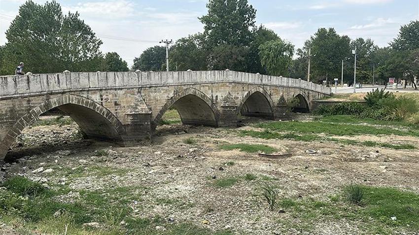 Trakya’nın 'sarı yüzü' yok oldu! Bulgaristan'dan yardım istendi, 20 Ağustos tarihine dikkat çekildi
