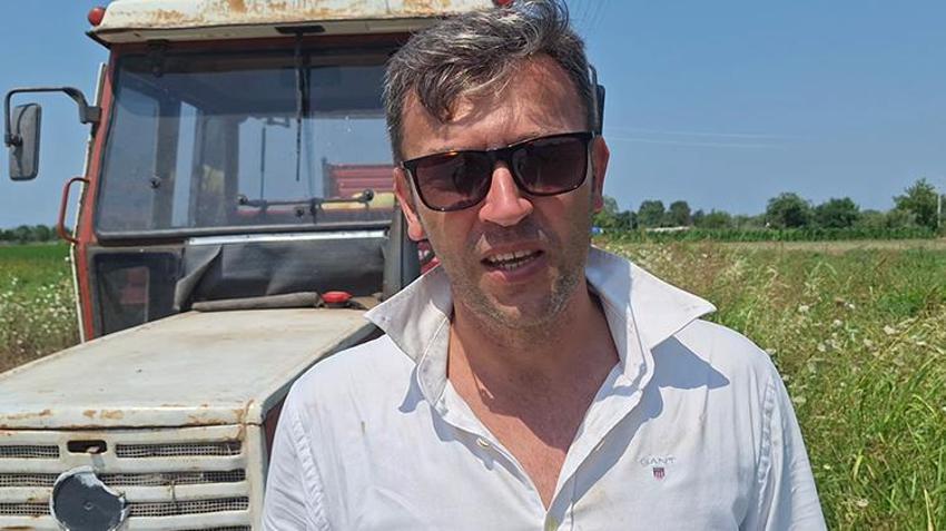 Samsun'dan 81 ile gidiyor! Tüm tarlaya sadece ondan ekti, resmen para basıyor: Kilosu 15 TL