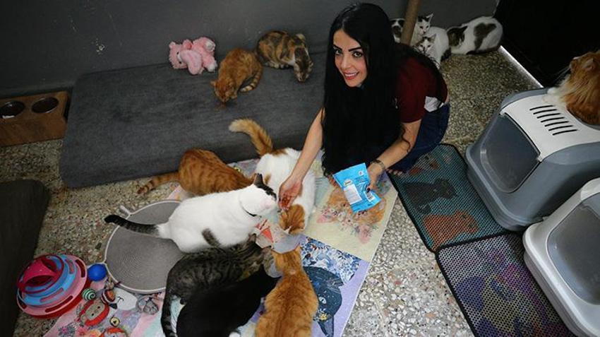 Adanalı hayvanseverden örnek davranış: Evinin damını kedilere yuva yaptı