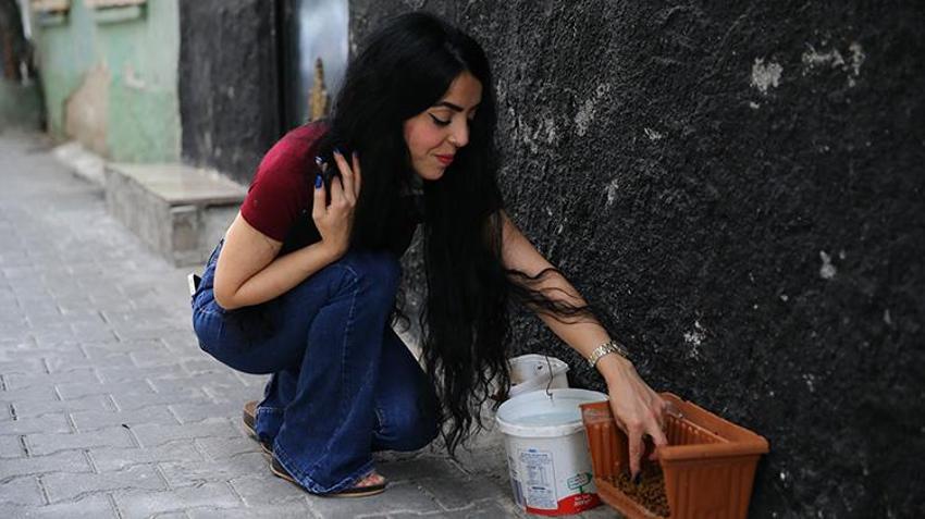 Adanalı hayvanseverden örnek davranış: Evinin damını kedilere yuva yaptı