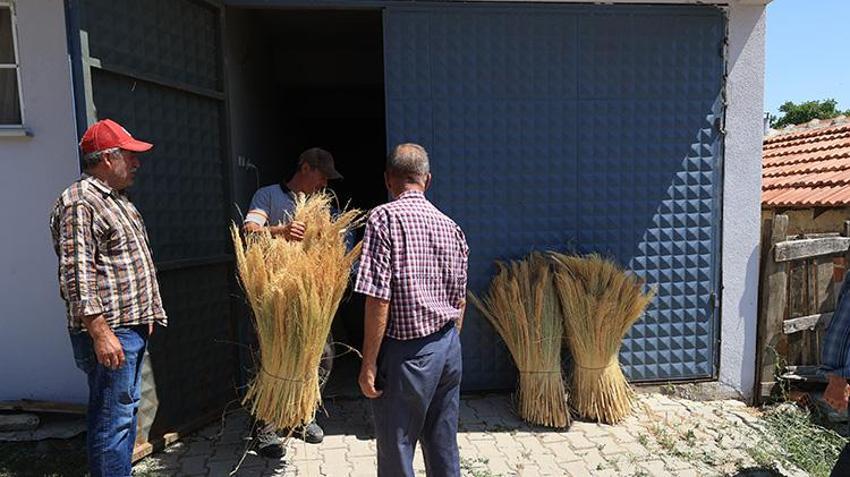 Edirne'de yıllık 500 ton üretiliyor, kuraklığa adeta meydan okuyor! Türkiye'de kapış kapış gidiyor, Üreticilerin gözü yeni pazarlarda