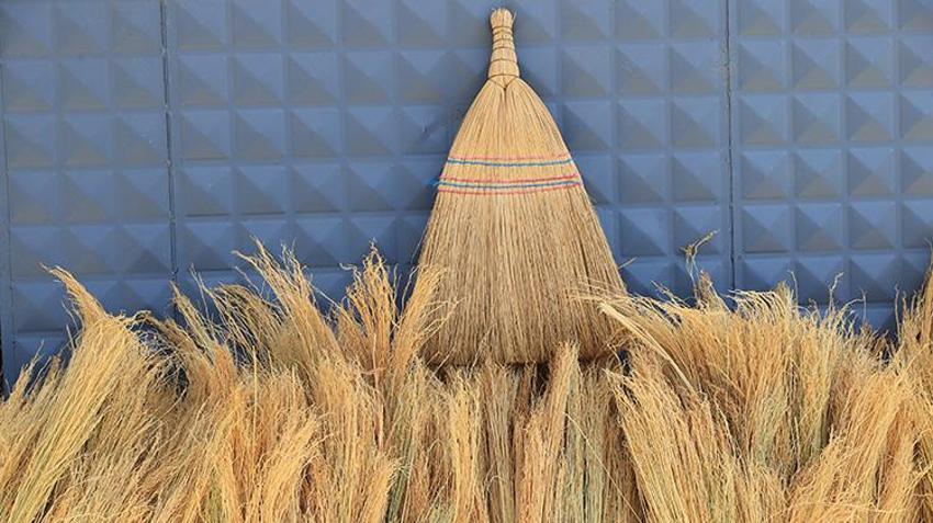 Edirne'de yıllık 500 ton üretiliyor, kuraklığa adeta meydan okuyor! Türkiye'de kapış kapış gidiyor, Üreticilerin gözü yeni pazarlarda