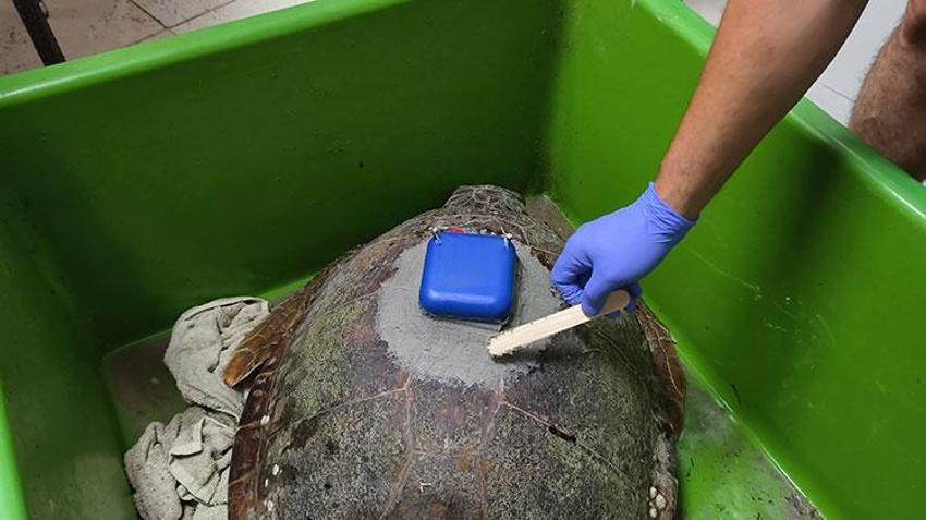 Yurt dışından 5 bin dolara getirilen cihazı Türkiye'de ürettiler! İlk kez denendi, takibi artık daha kolay olacak