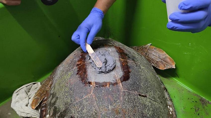 Yurt dışından 5 bin dolara getirilen cihazı Türkiye'de ürettiler! İlk kez denendi, takibi artık daha kolay olacak