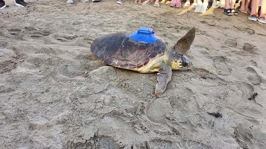 Yurt dışından 5 bin dolara getirilen cihazı Türkiye'de ürettiler! İlk kez denendi, takibi artık daha kolay olacak