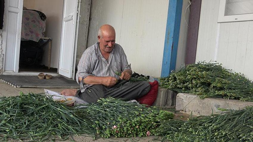 Gülüyle meşhur Isparta'da hiç denenmeyeni denedi! Ürettiğinin yüzde 95'ini Avrupa'ya ihraç ediyor