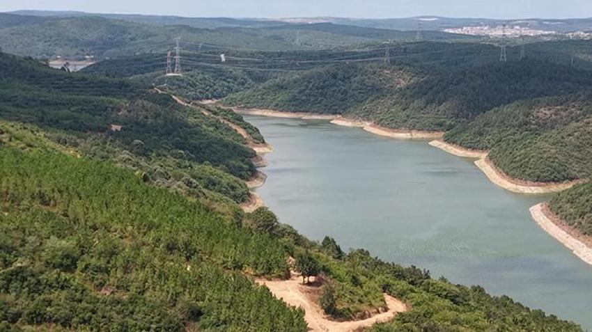 İstanbul'da içme suyunu tehdit eden tehlike: Rengi koyu maviye döndü, su içip, ölen hayvanlar var