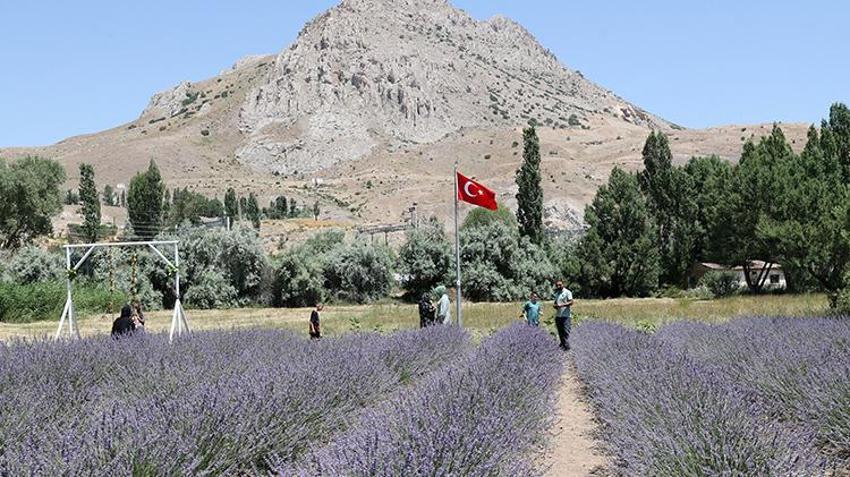 İnternetten öğrendiği yöntem şimdi servet getiriyor! Samsun'da eşinin hastalığına çare ararken buldu