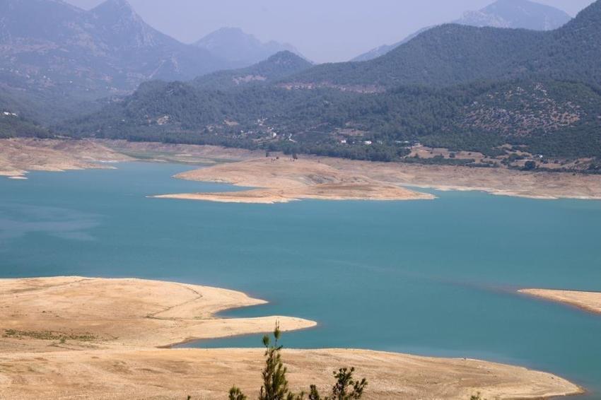 Adana'da narenciye can çekişiyor: Rekolte 100 bin tona düştü
