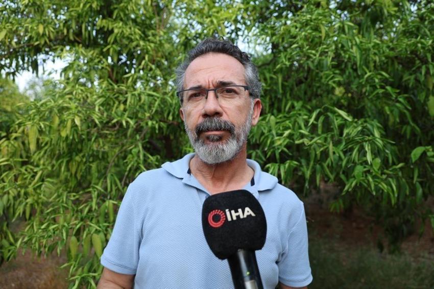 Adana'da narenciye can çekişiyor: Rekolte 100 bin tona düştü
