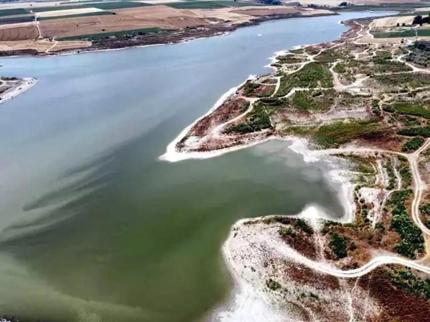 Tekirdağ'da su seviyesi düşünce karpuz üretimi azaldı!