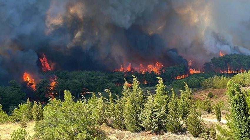 Çanakkale'de yangın büyüdü villalara sıçradı! Tahliyeler devam ediyor