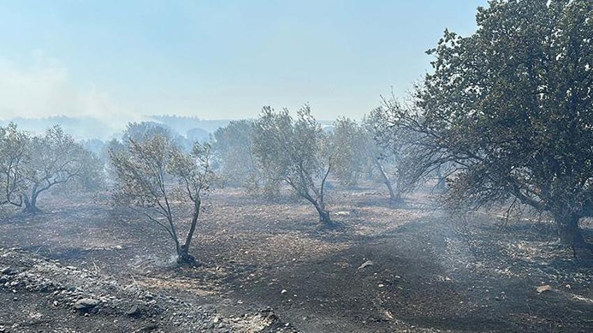 Çanakkale'de yangın büyüdü villalara sıçradı! Tahliyeler devam ediyor