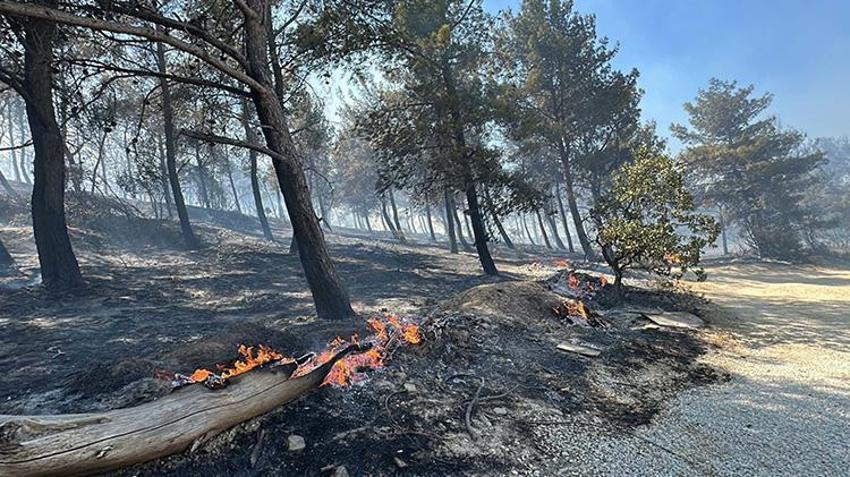 Çanakkale'de yangın büyüdü villalara sıçradı! Tahliyeler devam ediyor