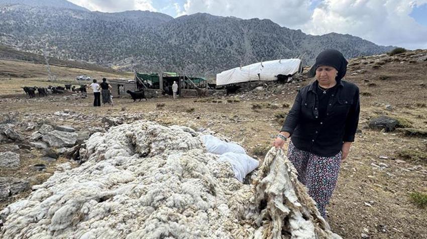 Toros Dağları'nda asırlık Türk geleneği! Sabahın erken saatlerinde başlıyor, şölen havasında geçiyor