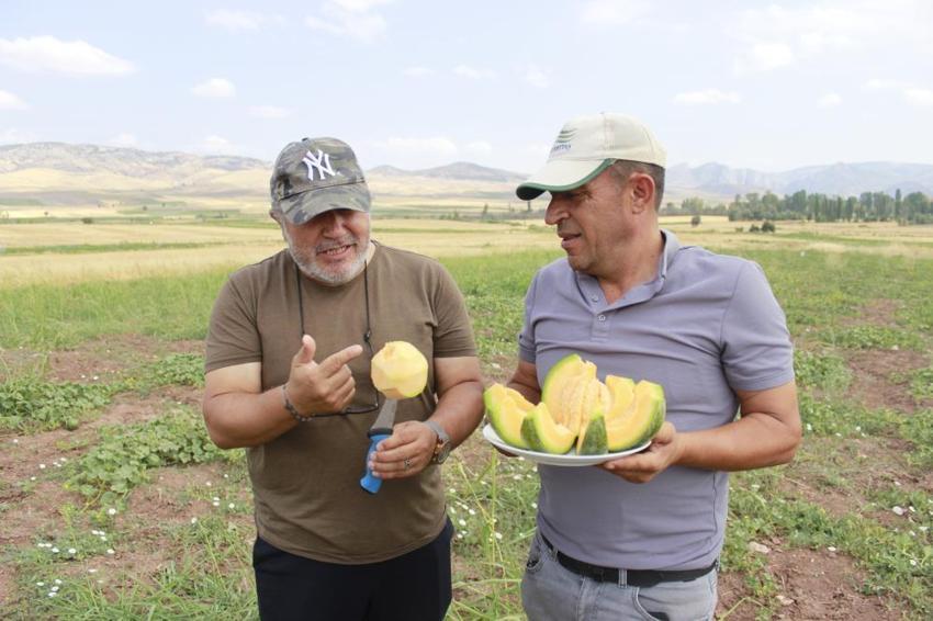 Yozgat'tan başka yerde yetişmiyor: Hasadı başladı, tanesi 40 lira!