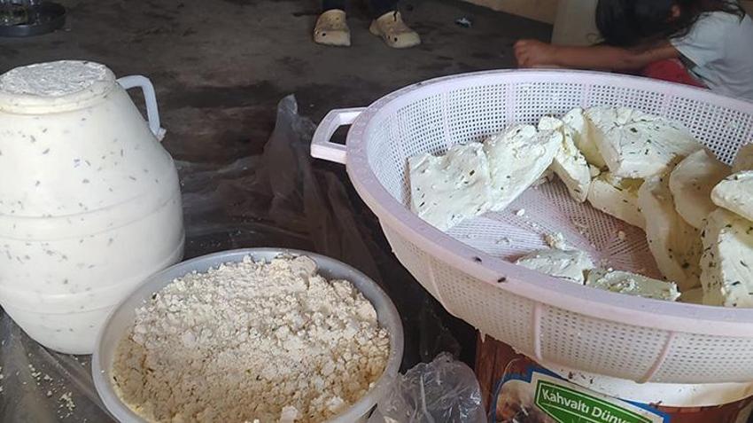 Kuma gömülerek olgunlaştırılıyor, asırlık lezzetini koruyor! Fiyatlar 250 TL'den başlıyor