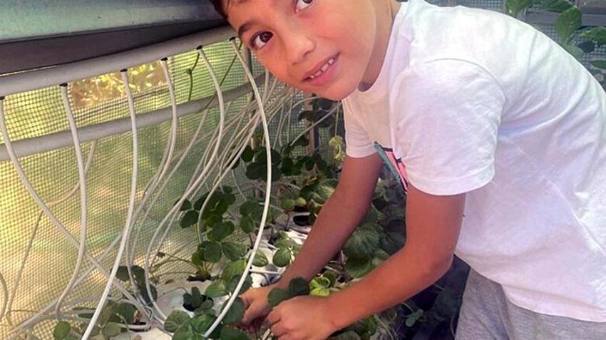İzmir'de profesörün gelecek korkusu onu bu işe itti! Bahçesinde kurduğu düzenekle ailesini koruma altına aldı