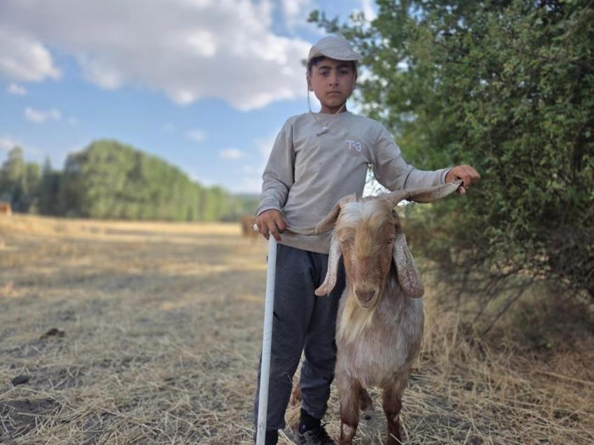 12 yaşında Yozgat'ta hayvan bakarken isim vermeye başladı!